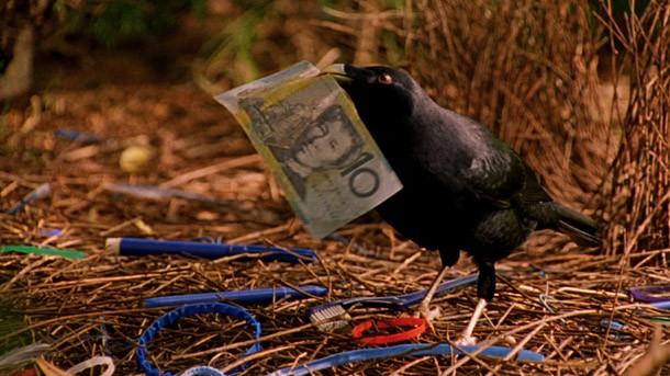 ten dollar note bower